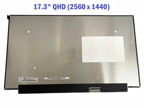 17.3 inch laptop scherm - 2560 x 1440 - mat - 40 pin - QHD, IPS - 240Hz - NE173QHM-NZ3
